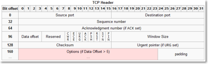 TCP Header